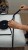 vid20210904133537.gif