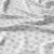 animalka-235-5.jpg