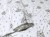 tissu-coton-au-metre-imprime-pamela-gris-sur-blanche-222.jpg
